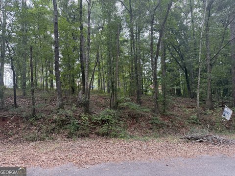 Thomaston, GA Land Opportunity
