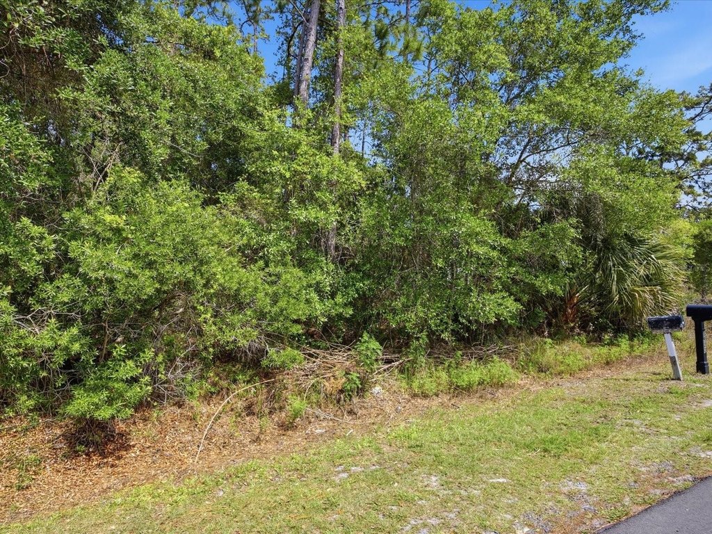 Picture 6