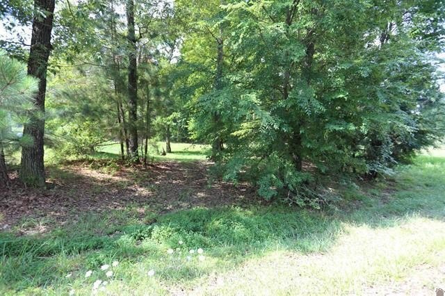 Picture 3