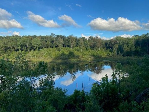 Wooded Acreage with Pond