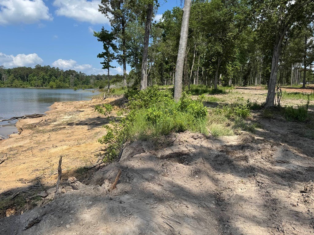 Picture 21