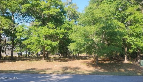 Wooded Homesite Near Holden Beach