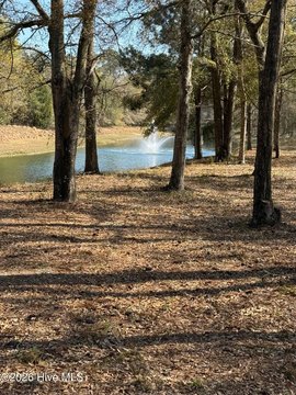 Wooded Homesite Near Holden Beach