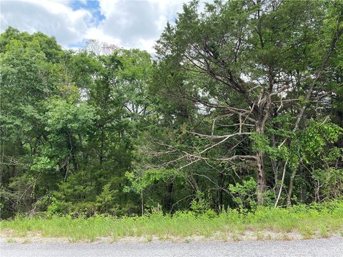 Holiday Island Build-Ready Lot