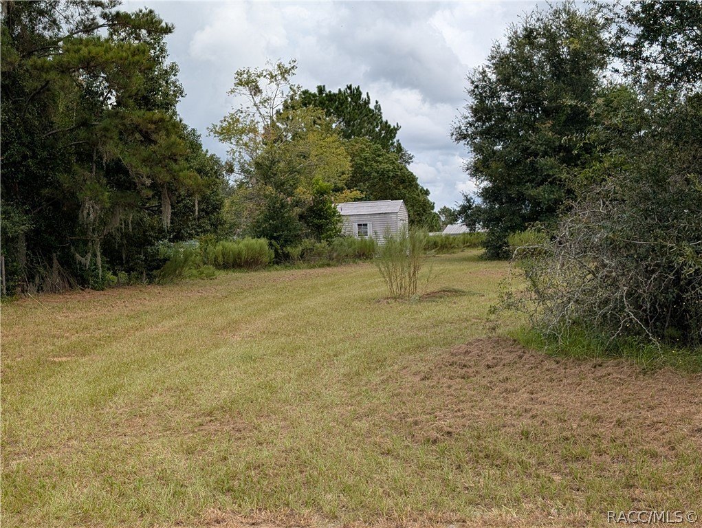 Picture 4