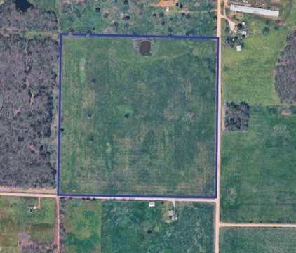 Grazing Pasture with Pond Land
