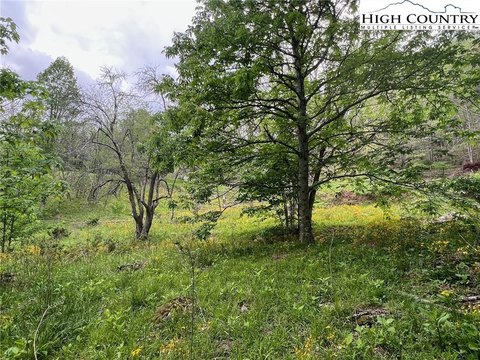 2 Acres Buildable Land