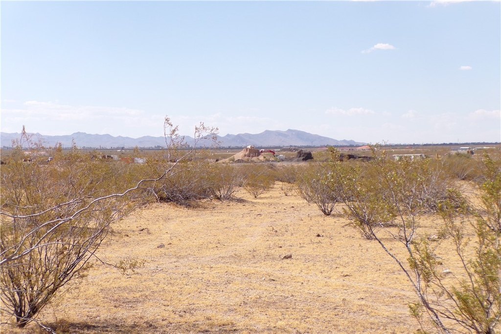 Picture 20