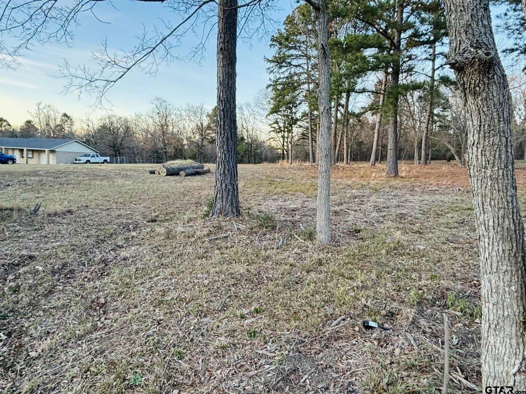 Picture 5