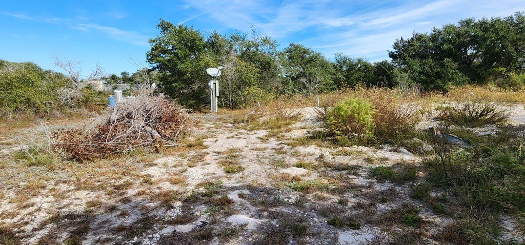 Picture 5