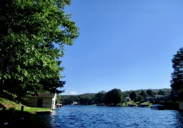 Picture 3