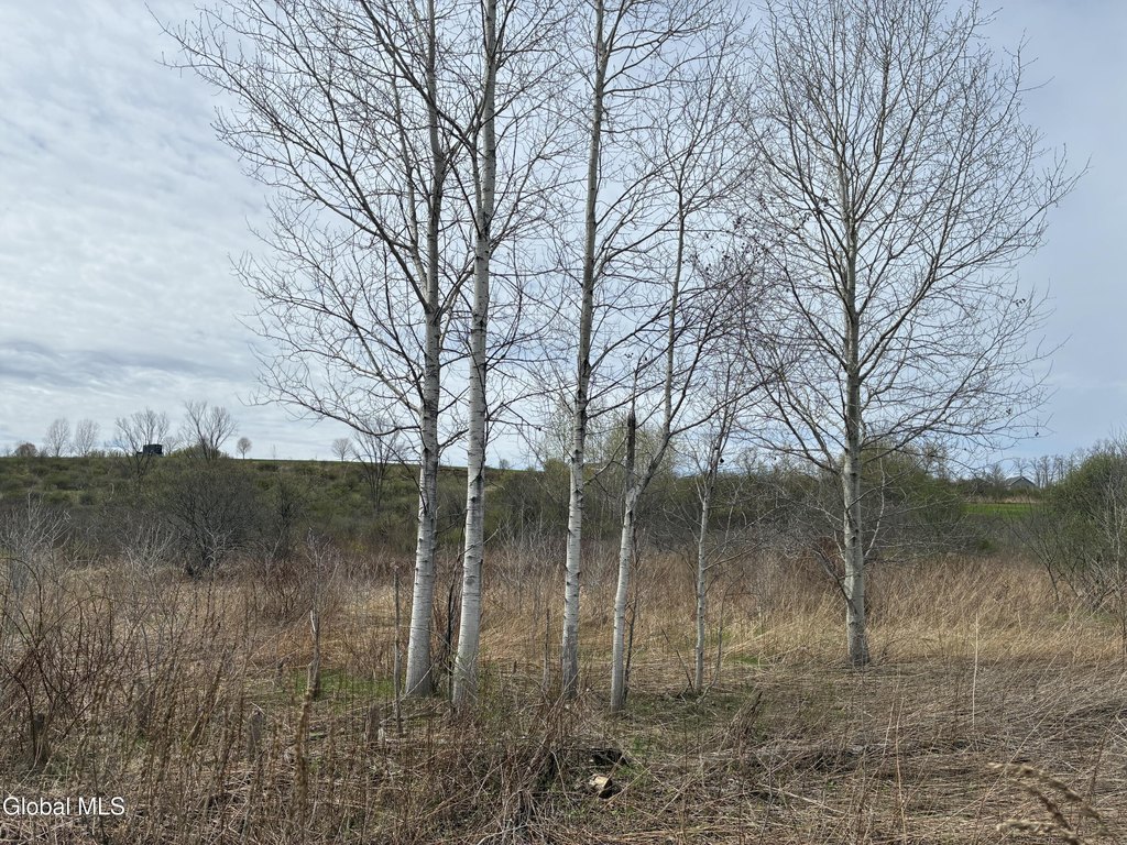 Picture 3