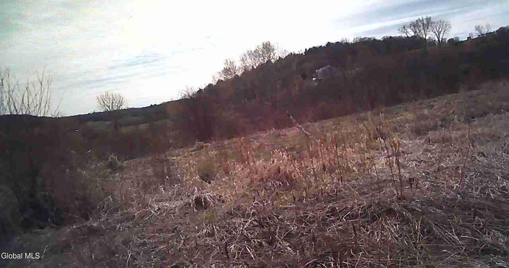 Picture 13