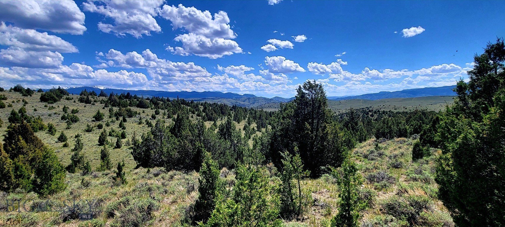 Land with BLM Frontage
