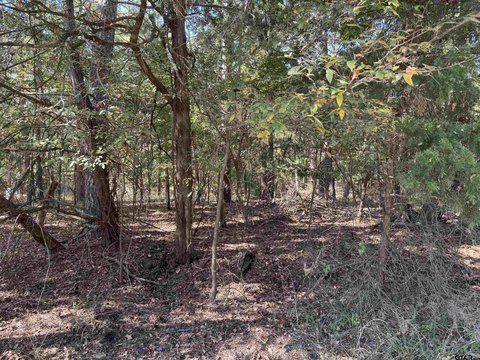 Corner Waterfront Lot