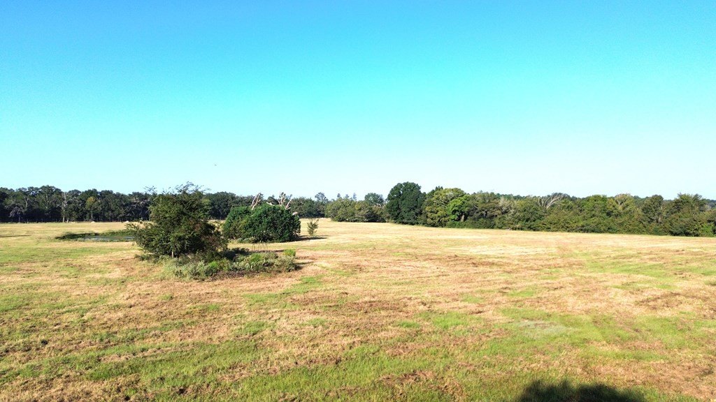 Picture 21