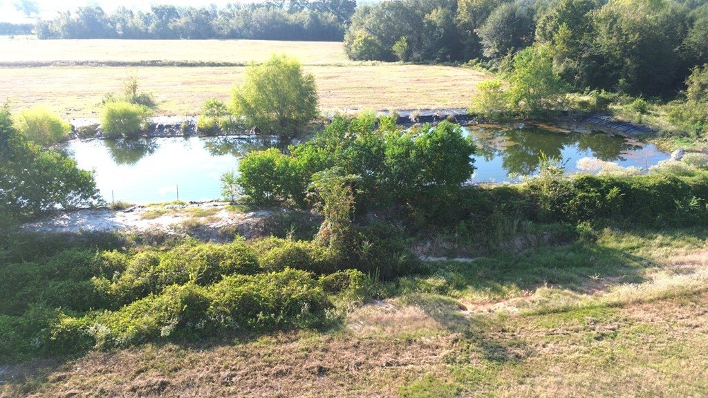 Picture 12