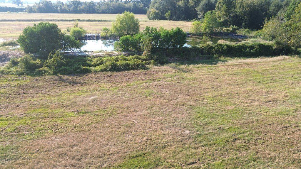 Picture 13
