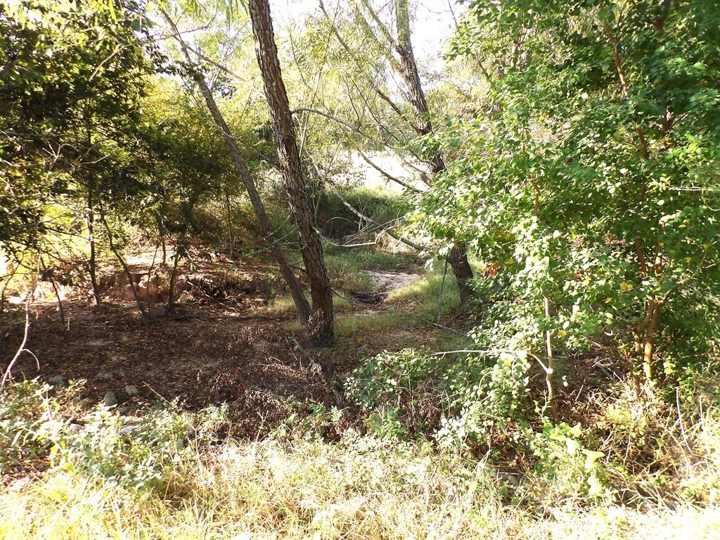 Picture 24