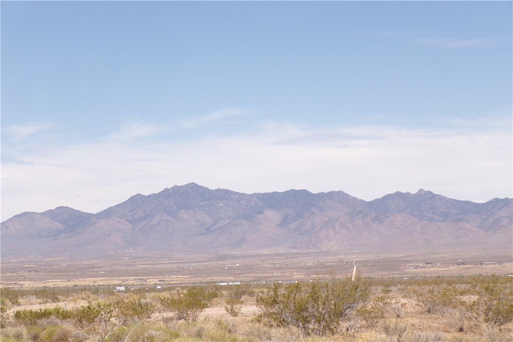 Picture 10