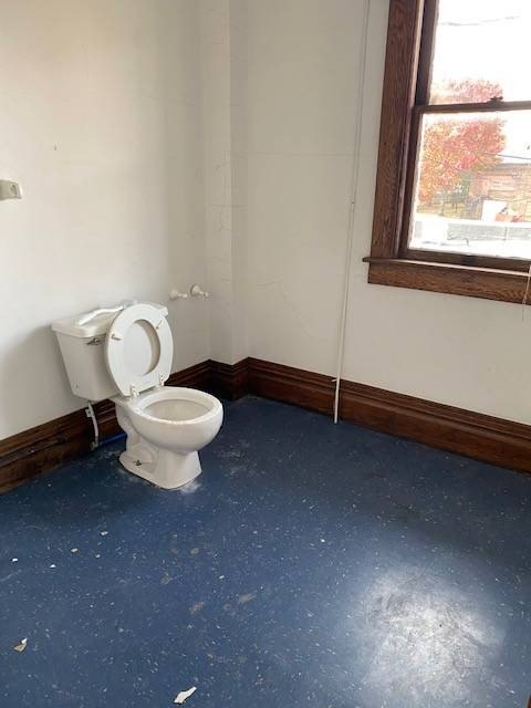 Picture 31
