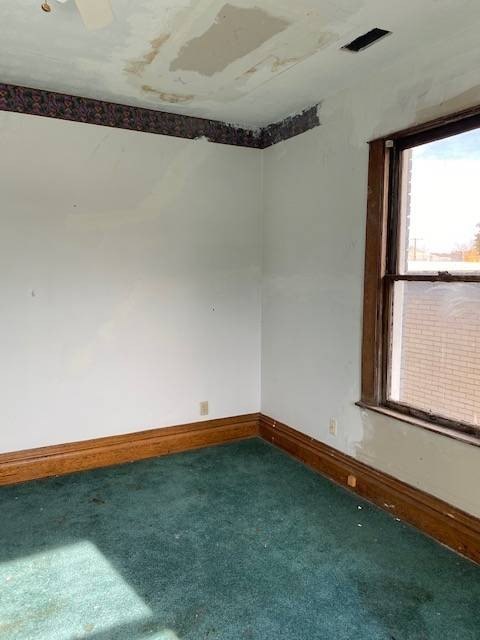 Picture 24