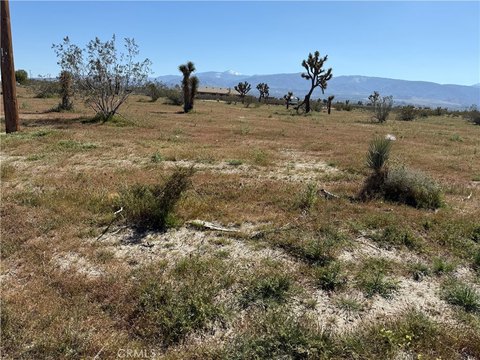 Flat Land in Pinon Hills
