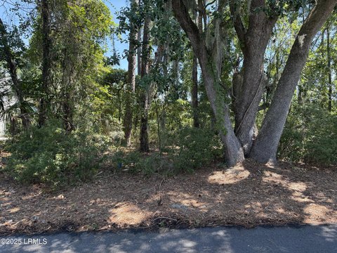 St. Helena Island Vacant Homesite