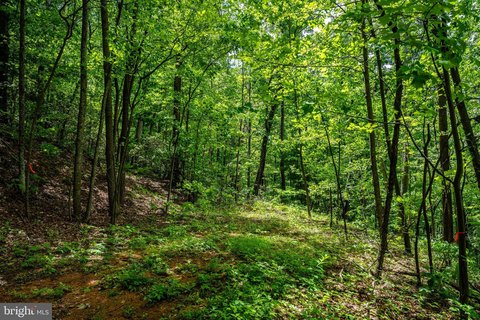 Secluded Land Near National Park