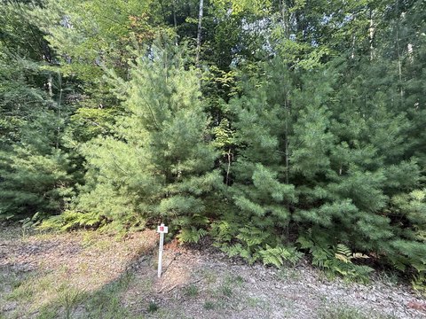Land, Stanwood, MI