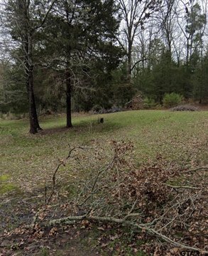 Land, Big Sandy, TX