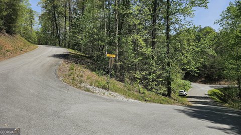 Wooded Land in Mountain Creek