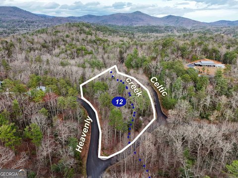 Wooded Land in Mountain Creek