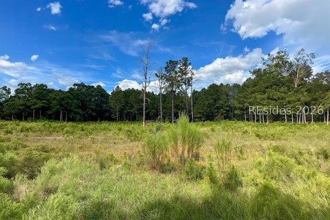 Land/Lots, Saint Matthews, SC