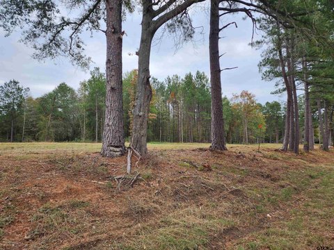 Winona, TX Residential Land