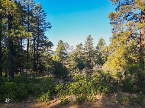 Land in Pagosa Springs, CO
