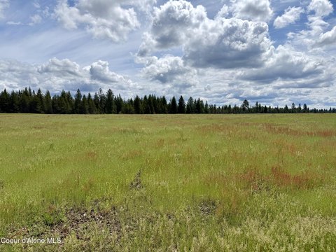 Rural Buildable Land Parcel