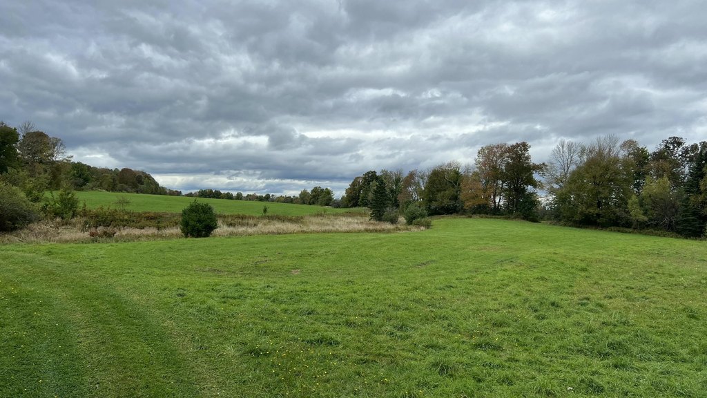 Picture 29
