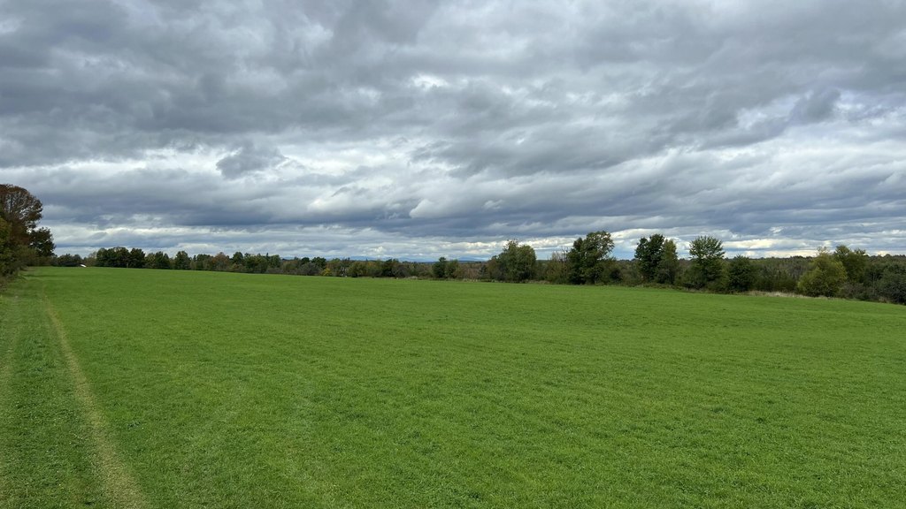 Picture 43