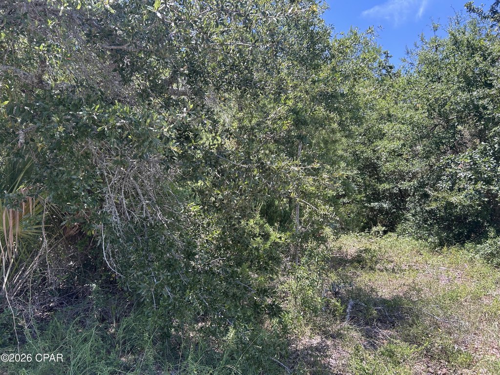 Picture 2