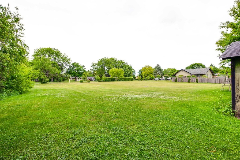 Picture 15