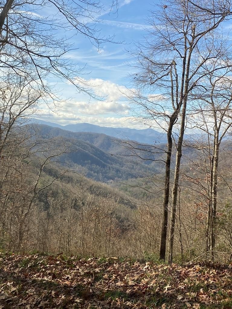 Mountain Land with Nantahala Views