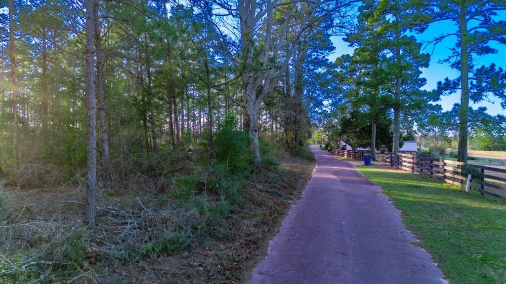 Picture 5
