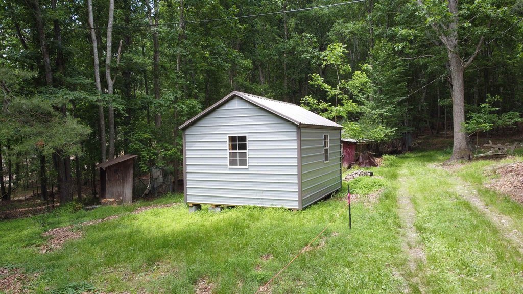 Picture 8