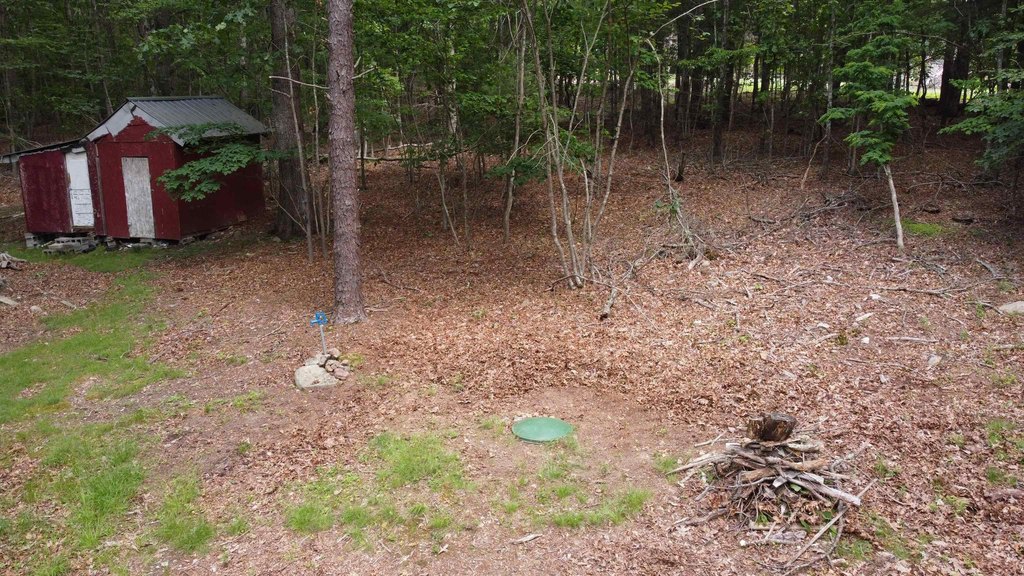 Picture 11