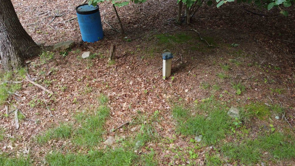 Picture 12