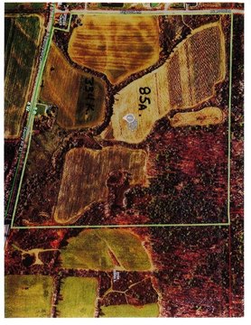 85 Acres of Land
