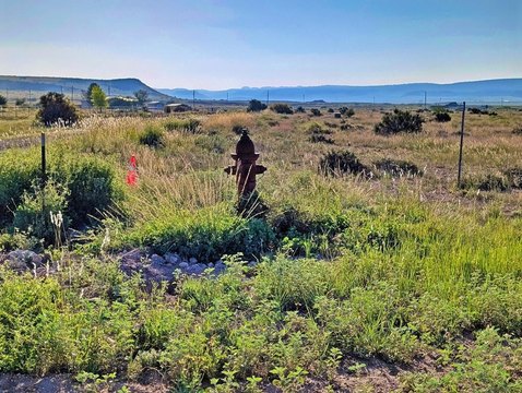 LAND - Fort Davis, TX
