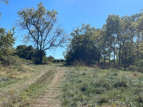 79 Acres of Land in Ava