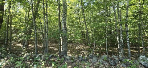 LAND - Gilmanton, NH